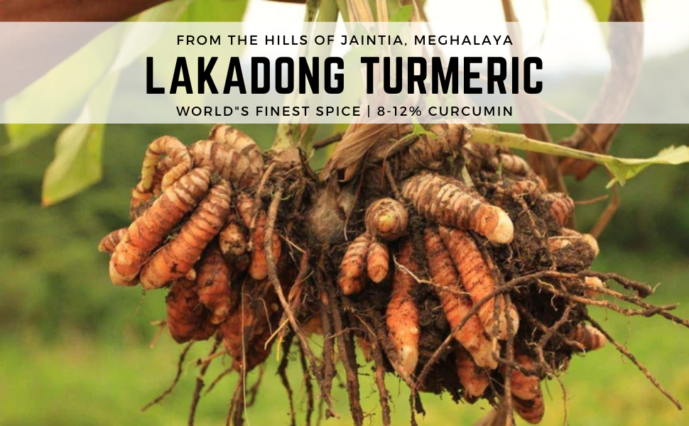 Lakadong turmeric hero
